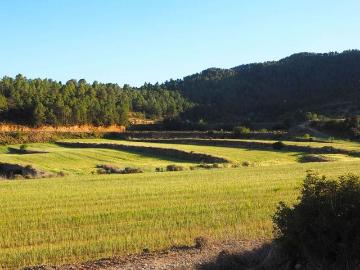 Casa rural en venta en calle Bot Morellet, Bot, de 90 m² 1 habitación por 50.000