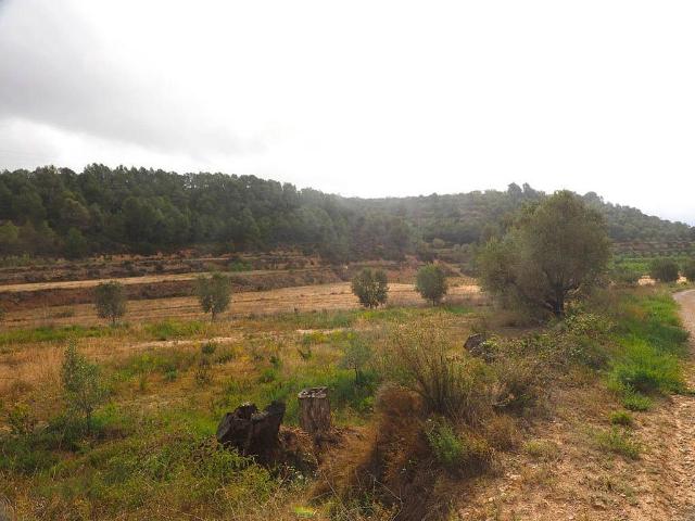 Casa rural en venta en calle Calvari, Corbera d´Ebre, de 40 m² por 50.000