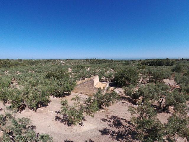 Casa rural en venta en calle Partida Vinaixarop, Aldea, l´, de 60 m² 1 habitación por 149.000