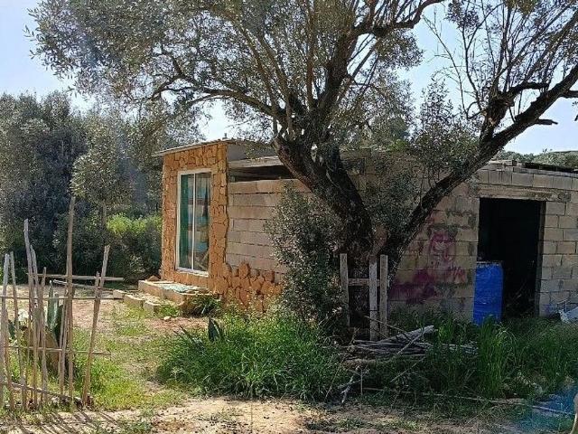 Casa rural en venta en calle, Riba Roja d´Ebre, de 75 m² por 27.500