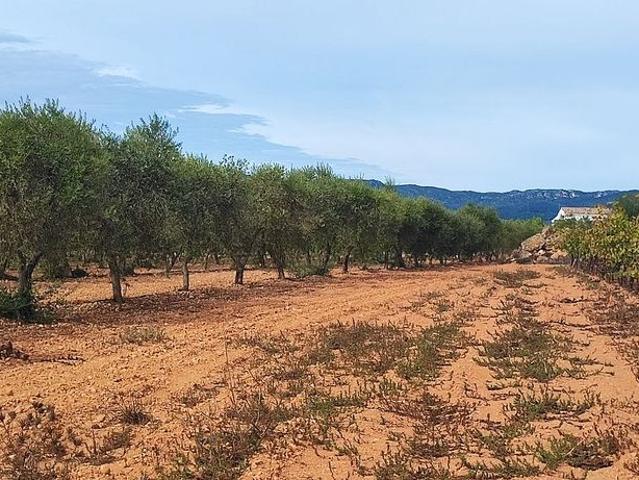 Casa rural en venta en calle Tv, Vila rodona, de 85 m² 2 habitaciones por 329.900