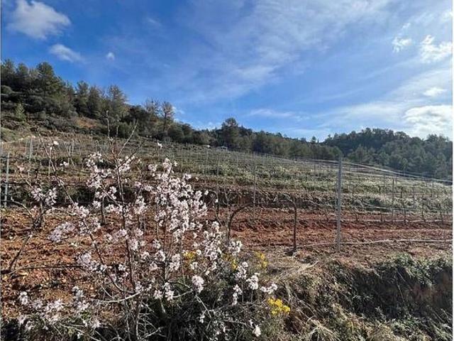 Casa rural en venta en calle T, Vilella Baixa, La, de 7.611 m² 1 habitación por 60.000