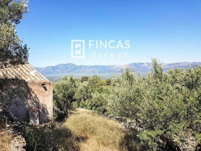 Casa rural en venta en calle Vh+Mw, Tortosa, de 18 m² 1 habitación por 29.500