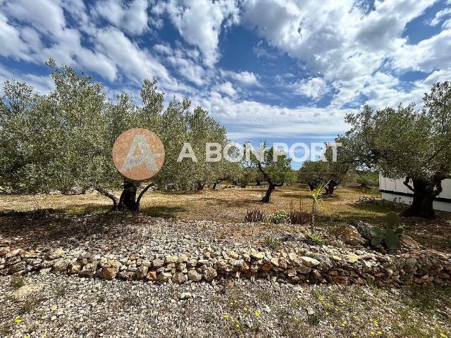 Casa rural en venta en polígono Parcela, Camarles, de 61 m² 3 habitaciones por 240.000