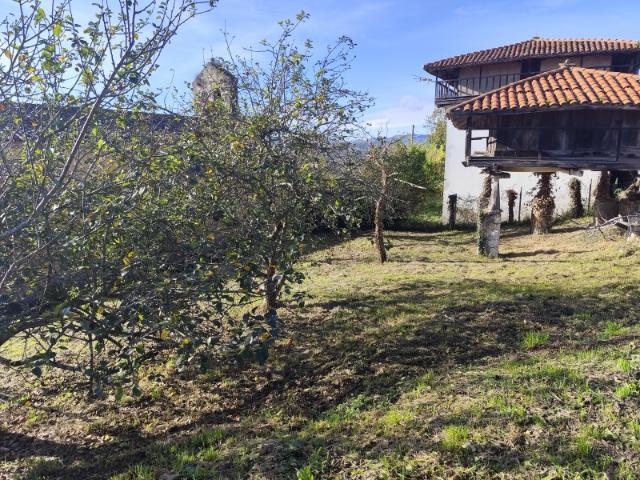 Casa Rural en Venta en Pravia, Asturias