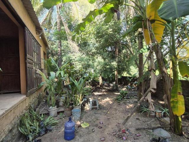 Casa R?stica en Venta, Fraccionamiento panoramas del Posquelite, Terreno amplio con ?rboles frutales