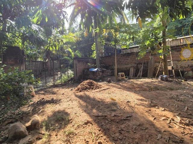 Casa R?stica en Venta, Fraccionamiento panoramas del Posquelite, Terreno amplio con ?rboles frutales