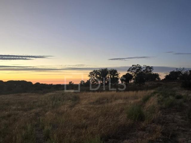 Herdade de Luxo com 20 ha, com piscina em Évora, Alentejo
