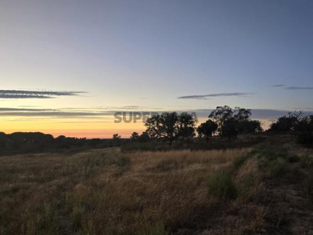 Herdade de Luxo com 20 ha, com piscina em Évora, Alentejo