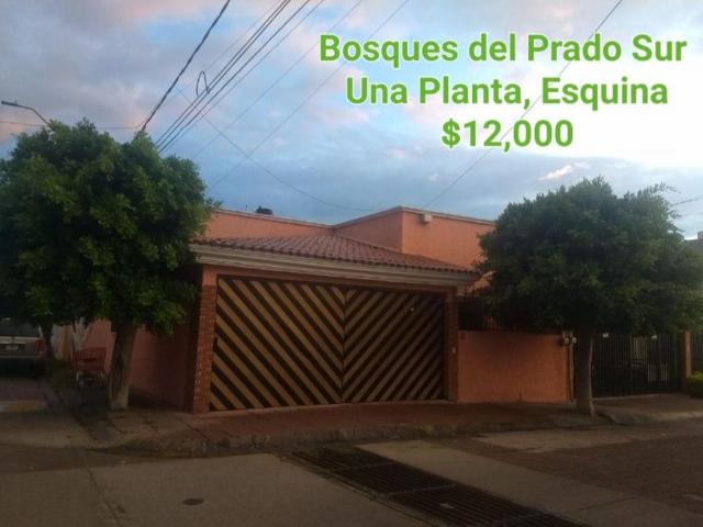 Casa Renta al Nte. Atras Plaza Universidad
