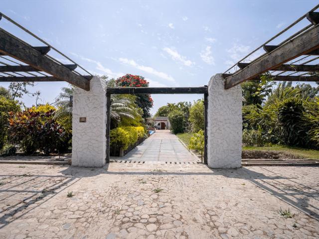 Casa Residencial en Venta en Pachacamac – Amplio Terreno con Huerto y Árboles Frutales