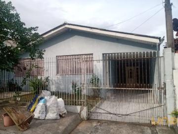 Bigorrilho, Curitiba, Balneário Piçarras