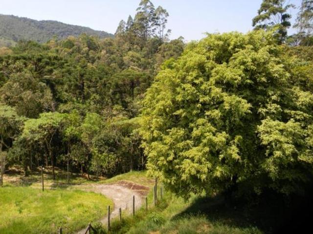 Casa, Santa Clara, Bocaina de Minas, MG