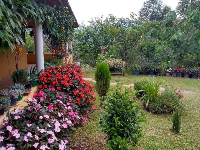 Casa, Santo Antonio do Rio Grande, Bocaina de Minas, MG