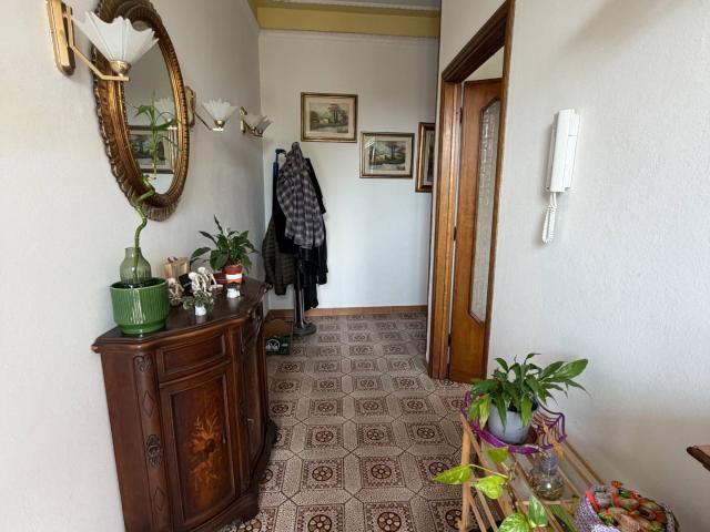 Casa Semi Indipendente in Affitto a Pisa