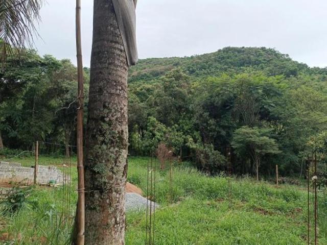 CASA SEMI PRONTA EM TERRENO DE 1000 METROS COM FUNDAÇÃO e ALVENARIA TELHADO DE 3 QUARTOS