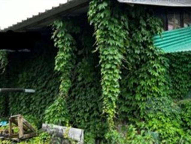 Casa semindipendente da ristrutturare di 167 mq