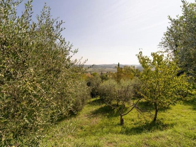 Casa semindipendente in vendita a Casciana Terme Lari