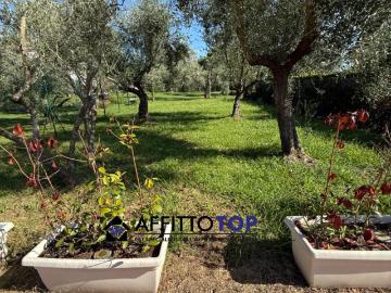 casa semindipendente in Affitto a Montignoso
