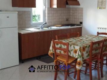 casa semindipendente in Affitto a Massa