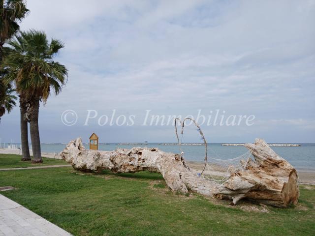 Casa singola in Affitto a Sant'Elpidio a Mare