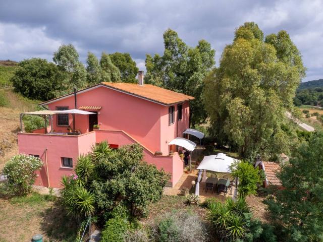 Casa singola in vendita a Magliano in Toscana, Montiano