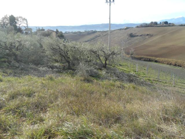 Casa singola in vendita a Monteprandone, Centobuchi