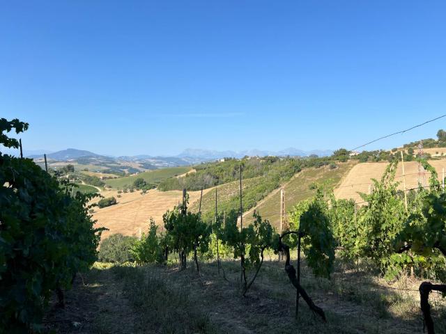 Casa singola in vendita a Petritoli