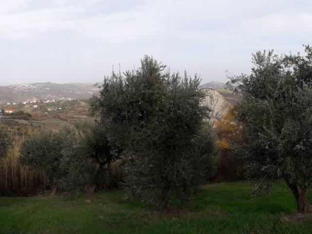 Casa singola in vendita a Roccamontepiano