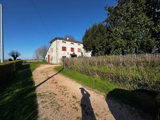Casa Singola in vendita a San Felice sul Panaro