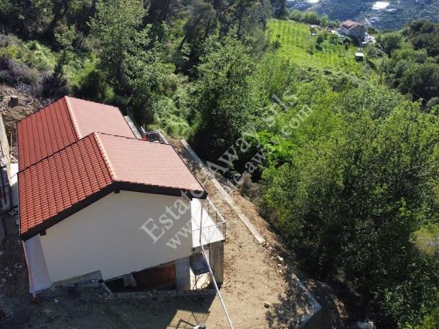 Casa singola in vendita a Vallebona