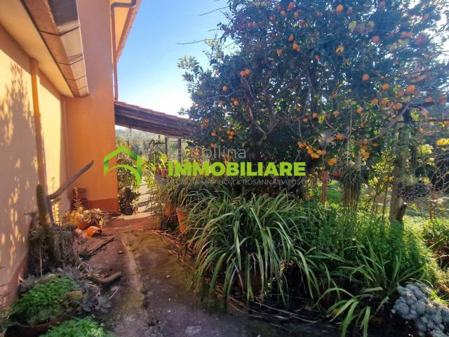 Casa singola in vendita a Velletri