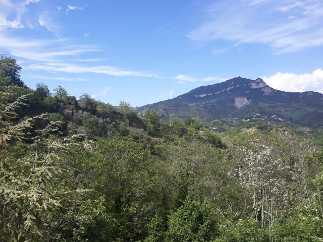 Casa singola in vendita a Venarotta, Castellano