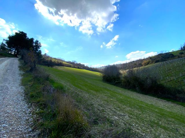 Casa singola Soluzione indipendente in vendita a Montefiore dell'Aso, Aso