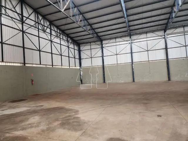 Casa / Sobrado Comercial para Locação em Araçatuba/SP Presidente