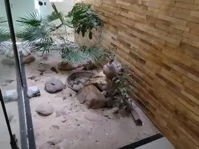 Casa / Sobrado Comercial para Locação em Fortaleza/CE Papicu 5 Quartos