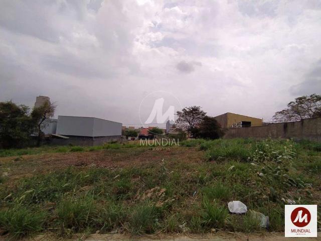 Casa / Sobrado Comercial para Locação em Ribeirão Preto/SP Alto da Boa Vista