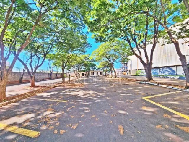 Casa / Sobrado Comercial para Locação em Ribeirão Preto/SP Parque Residencial Lagoinha