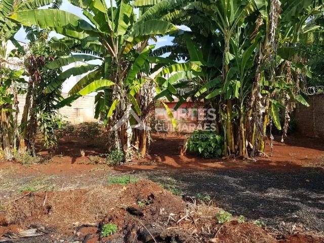 Casa / Sobrado Comercial para Locação em Ribeirão Preto/SP Vila Virgínia
