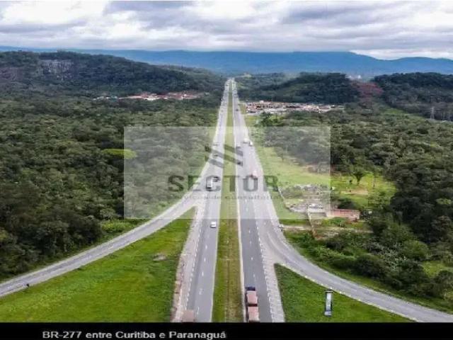Casa / Sobrado Comercial para Locação em São José dos Pinhais/PR Borda do Campo
