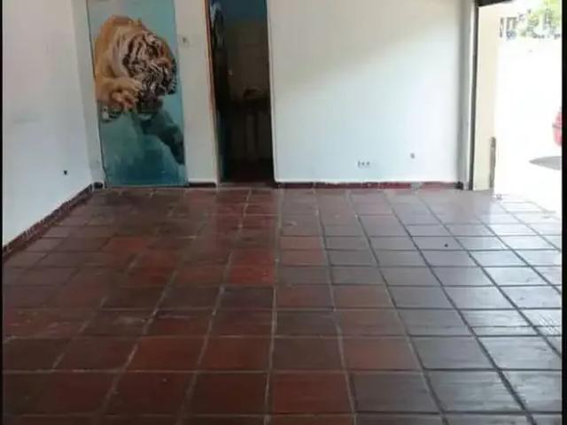 Casa / Sobrado Comercial para Locação em São Paulo/SP Jardim Colonial