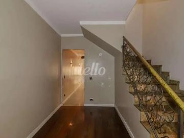 Casa / Sobrado Comercial para Locação em São Paulo/SP Vila Bertioga 3 Quartos