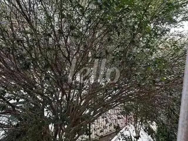Casa / Sobrado Comercial para Locação em São Paulo/SP Vila Zelina 3 Quartos