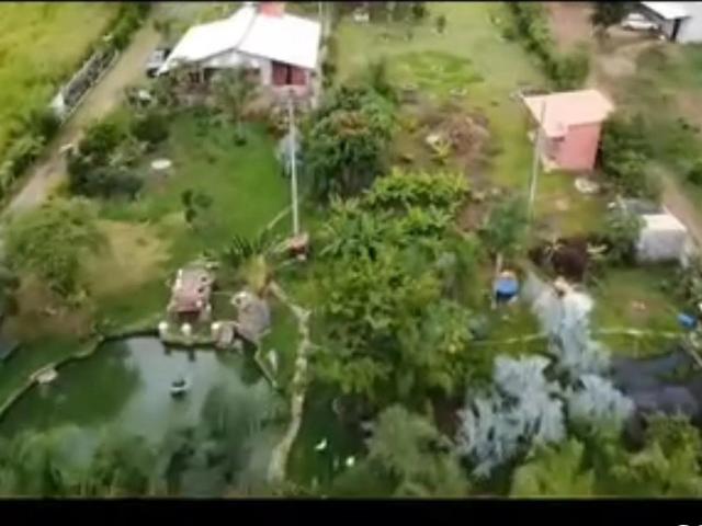 Casa / Sobrado Comercial para Venda em Campo Grande/MS Santa Fé