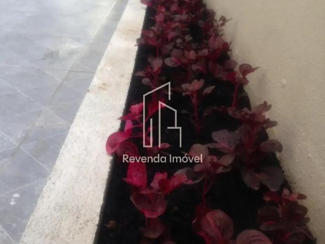 Casa / Sobrado Comercial para Venda em Campinas/SP Botafogo 6 Quartos