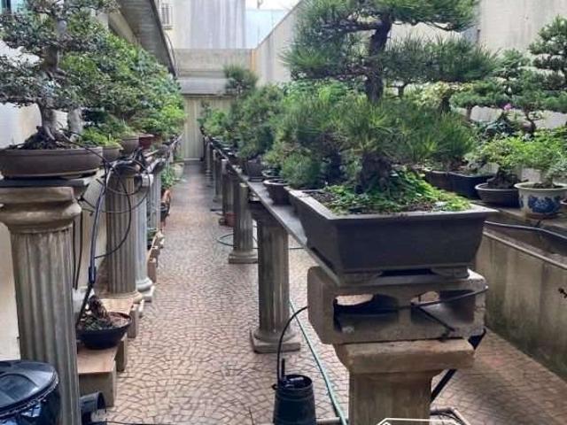 Casa / Sobrado Comercial para Venda em Bauru/SP Vila Regina
