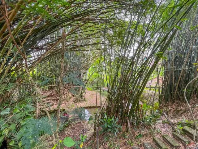 Casa / Sobrado Comercial para Venda em Biguaçu/SC São Miguel