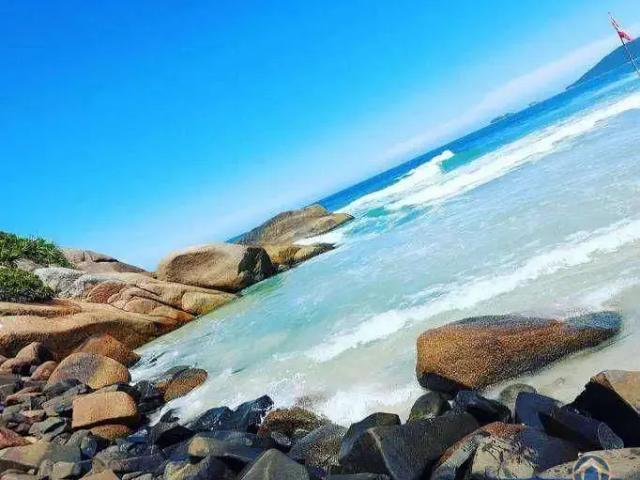 Casa / Sobrado Comercial para Venda em Florianópolis/SC Ponta das Canas 6 Quartos