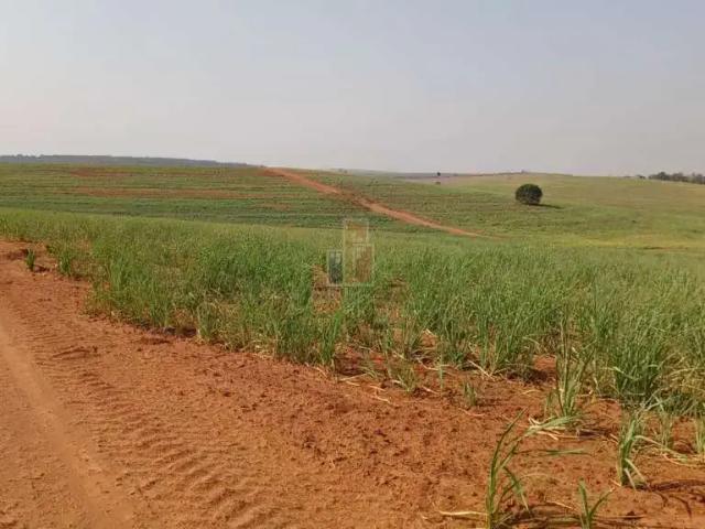 Casa / Sobrado Comercial para Venda em Iacanga/SP Zona Rural