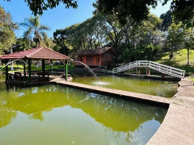 Casa / Sobrado Comercial para Venda em Nova Petrópolis/RS Piá 20 Quartos